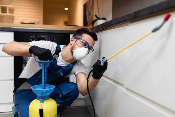 Best Affordable Pest Control Services  in Woodcreek, TX