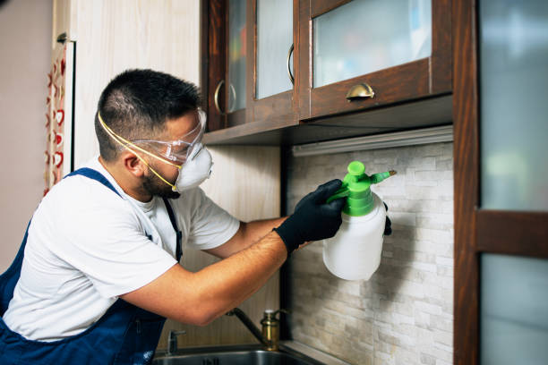 Best Cockroach Control Services  in Woodcreek, TX