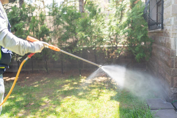 Best Affordable Pest Control Services  in Woodcreek, TX