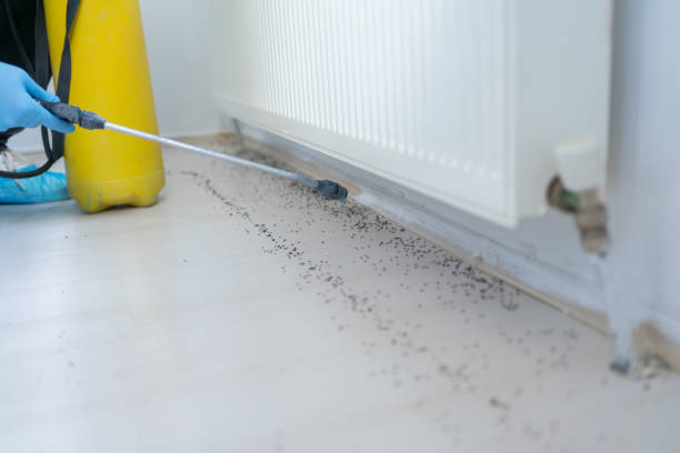Best Cockroach Control Services  in Woodcreek, TX