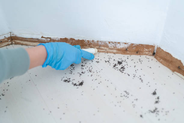 Pest Control Cost in Woodcreek, TX
