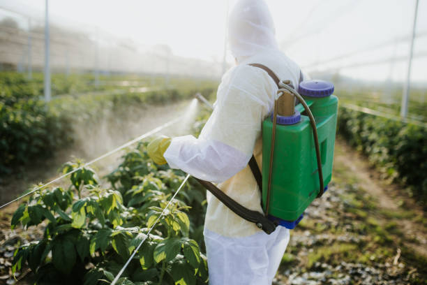 Best Pest Removal Services  in Woodcreek, TX